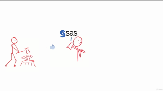The Simplest Guide to SAS Programming- SAS Base-SAS Advanced – Screenshot 4