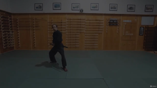 Martial Arts - Kenjutsu - Longsword Drawing Foundation – Screenshot 2