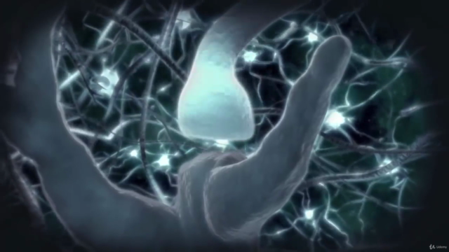 Mental Palace! Beyond the Limits of Mind – Screenshot 3