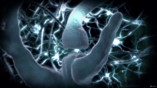 Mental Palace! Beyond the Limits of Mind – Screenshot 4