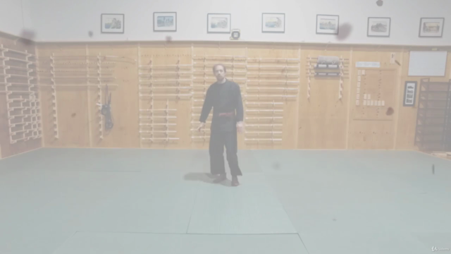Martial Arts - Taijutsu - Beginner Vital Point Striking – Screenshot 1