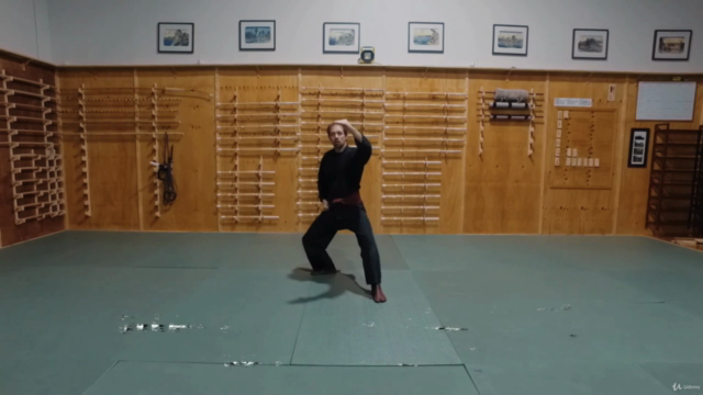 Martial Arts - Taijutsu - Beginner Vital Point Striking – Screenshot 2