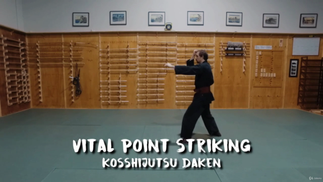 Martial Arts - Taijutsu - Beginner Vital Point Striking – Screenshot 3