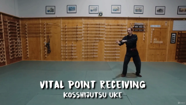 Martial Arts - Taijutsu - Beginner Vital Point Striking – Screenshot 4