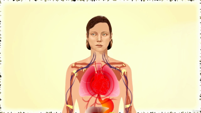 Stress Rewired: Break Free from Overwhelm – Screenshot 2