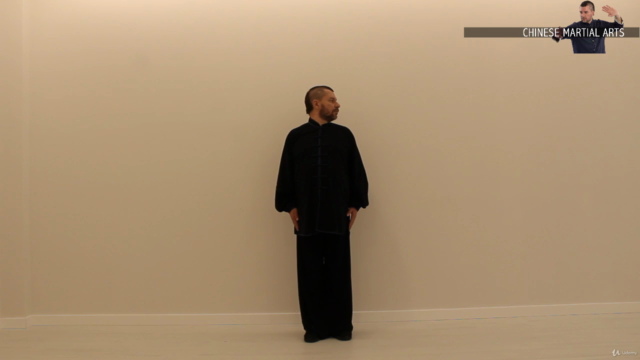 Ocho brocados de seda | QI GONG – Screenshot 2