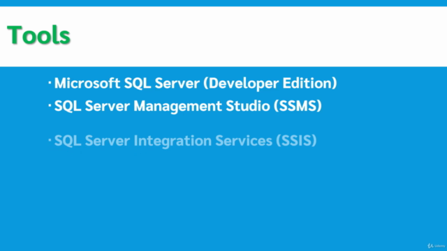 ETL With Microsoft SQL Integration Services (SSIS) - Screenshot_02