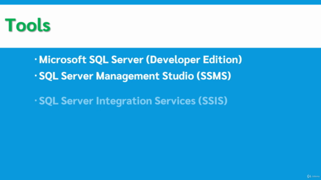 ETL With Microsoft SQL Integration Services (SSIS) – Screenshot 2