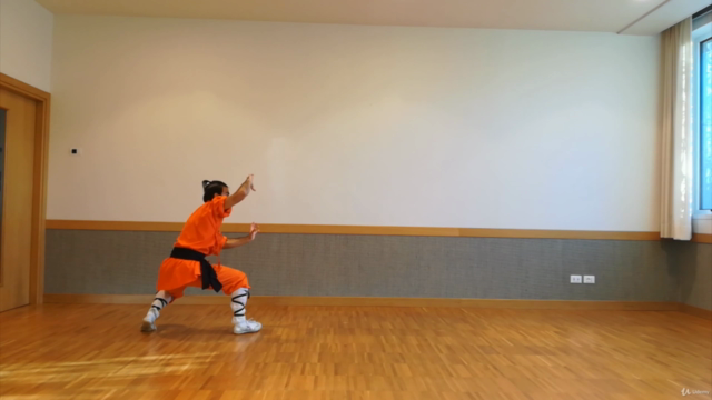 Kung Fu Shaolin Student Level 3 - Part 1 – Screenshot 1