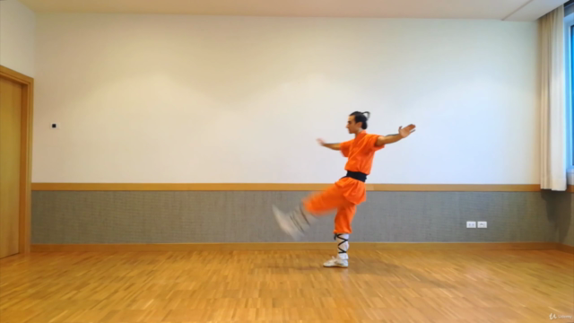 Kung Fu Shaolin Student Level 3 - Part 1 – Screenshot 3