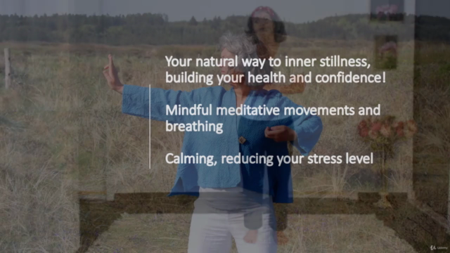 Golden Wings Qi Gong - Optimize your Health & Reduce Stress – Screenshot 2