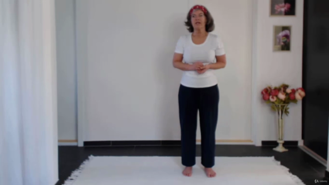 Golden Wings Qi Gong - Optimize your Health & Reduce Stress – Screenshot 3