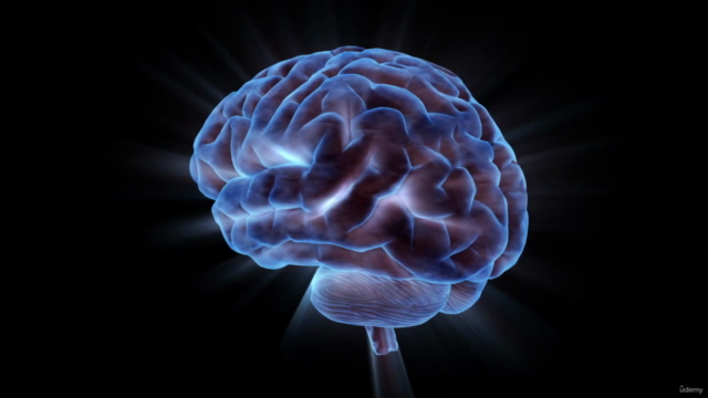 Branding y Neuromarketing digital, la ciencia de vender – Screenshot 3