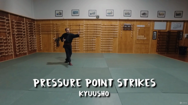 Martial Arts - Ninjutsu - Beginner Secret Fighting – Screenshot 3