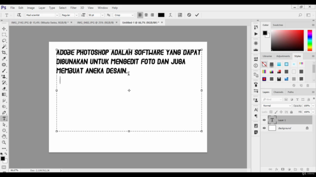 Adobe Photoshop untuk Pemula: Siswa Diajari Sampai Mahir! – Screenshot 2