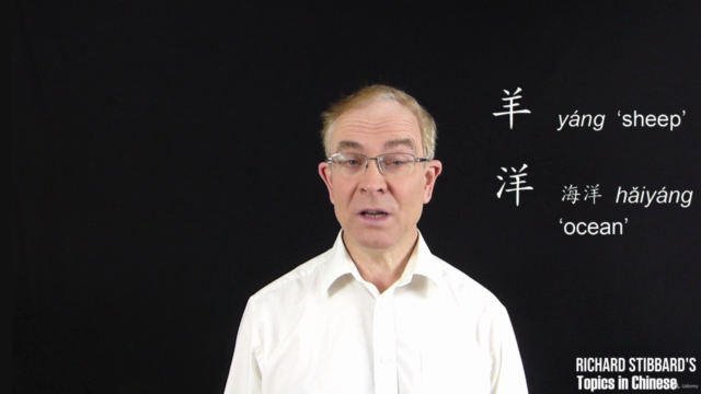 Richard Stibbard's Chinese Characters: Cracking the System – Screenshot 2