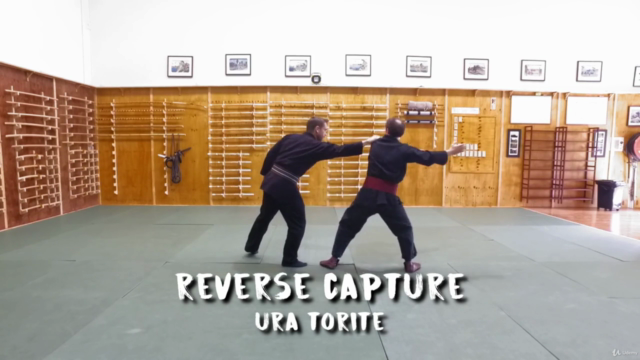 Martial Arts - Ninjutsu - Secret Fighting Framework – Screenshot 2