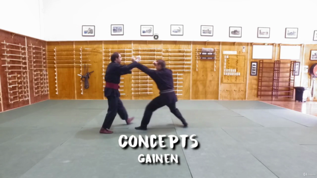 Martial Arts - Ninjutsu - Secret Fighting Framework – Screenshot 4