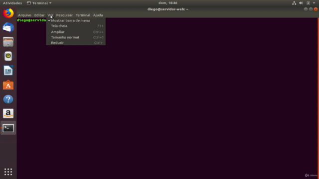 Terminal Linux - Screenshot_04