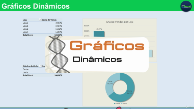 Curso de Excel Construindo Gráficos e Infográficos. - Screenshot_03