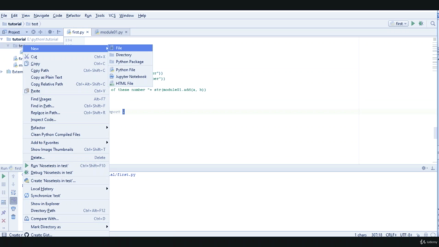 Python for Beginners: The Ultimate Python Bootcamp to Learn – Screenshot 3