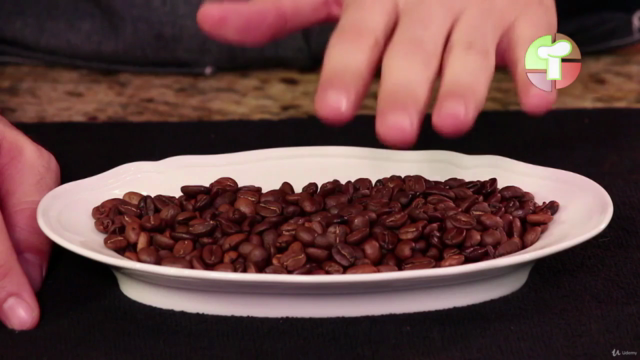 Brew Profesional de café – Screenshot 3
