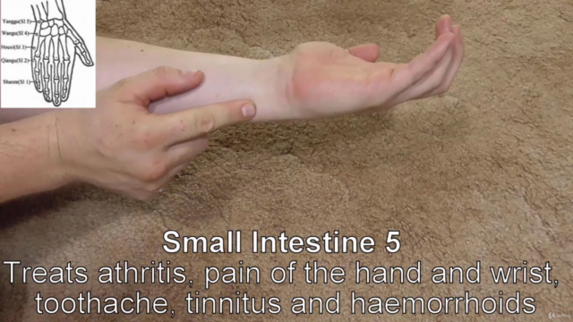 Acupressure for Common Ailments – Screenshot 3