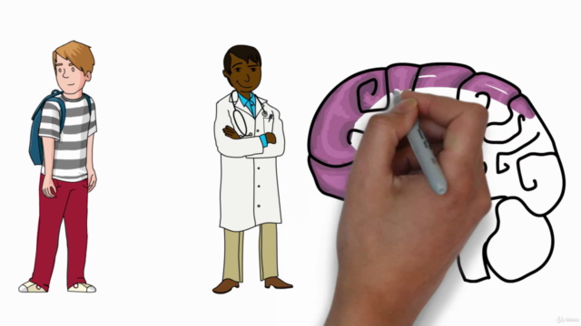 ANATOMÍA Y FISIOLOGÍA DEL SISTEMA NERVIOSO – Screenshot 4