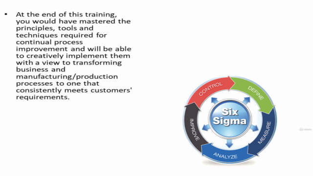 Six Sigma for Business and Manufacturing Process Improvement – Screenshot 3