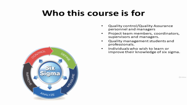 Six Sigma for Business and Manufacturing Process Improvement – Screenshot 4