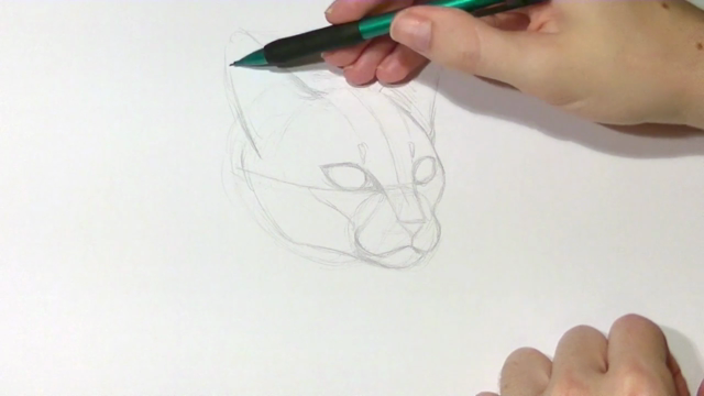 Drawing Animals: From Anatomy to Rendering – Screenshot 2