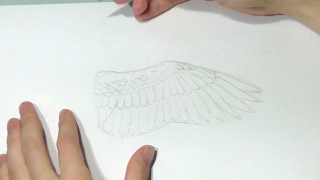 Drawing Animals: From Anatomy to Rendering – Screenshot 3