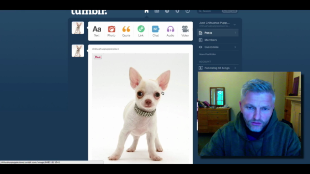 8 Simple Steps To Automating Tumblr For Profit – Screenshot 3