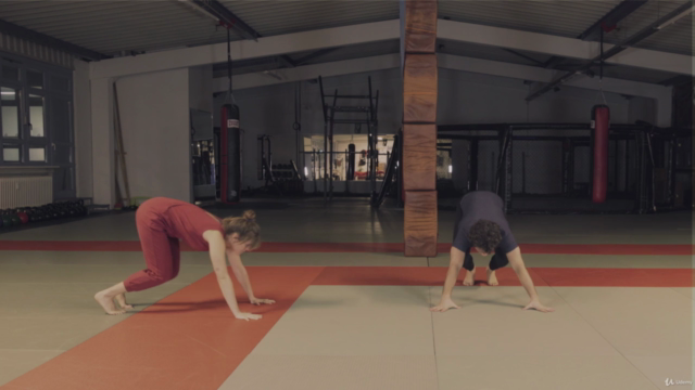 12 week functional movement training challenge – Screenshot 4
