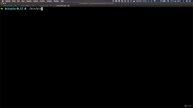 Bitcoin dalla teoria alla pratica - Corso Completo – Screenshot 2
