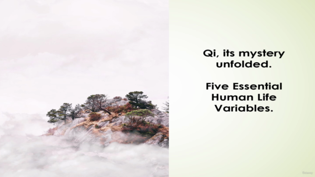 Qi (Its mystery unfolded),  5-Essential Human Life Variables – Screenshot 1