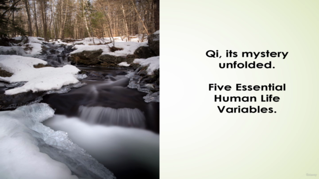 Qi (Its mystery unfolded),  5-Essential Human Life Variables – Screenshot 2