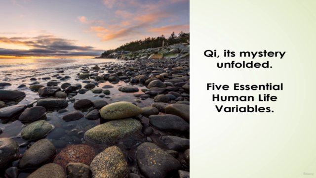 Qi (Its mystery unfolded),  5-Essential Human Life Variables – Screenshot 4