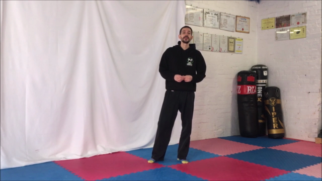 KICKBOXING: All The Way To Black Belt – Screenshot 2