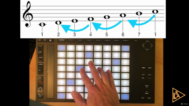 Harmony and Chords 1 for Ableton & Push – Screenshot 4