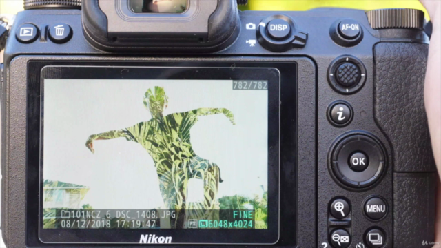 Nikon Z6 / Z7 Crash Course – Screenshot 4