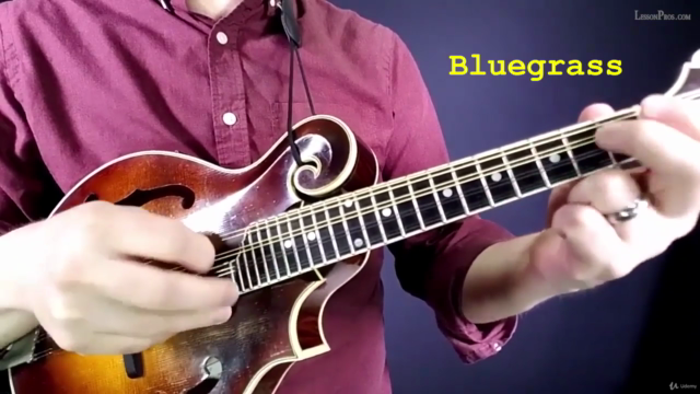 Beginner Mandolin Lessons - LEARN MANDOLIN FROM SCRATCH – Screenshot 1