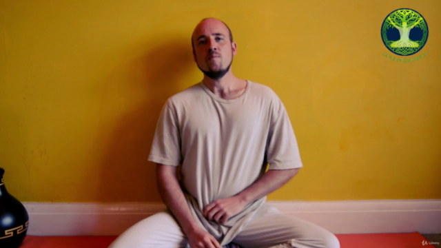 Yoga for Allergic Rhinitis / Hayfever – Screenshot 2