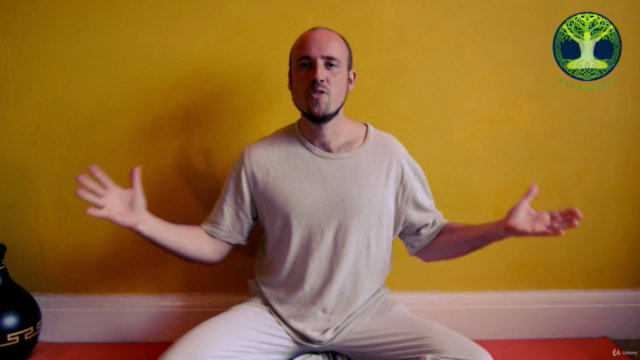 Yoga for Allergic Rhinitis / Hayfever – Screenshot 4