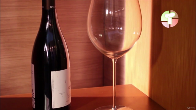 Introducción al mundo del vino y la sommellerie – Screenshot 3