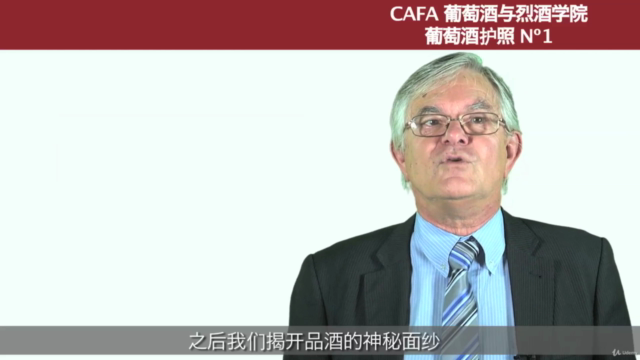 葡萄酒护照 Nº1 – Screenshot 3