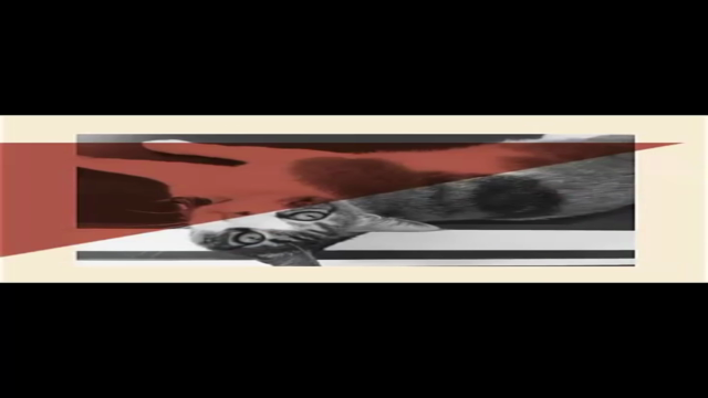 Kedi & Köpek Bakımı : Başlangıç – Screenshot 4