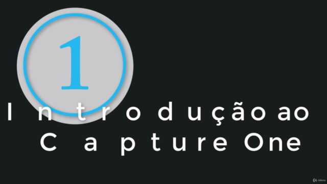 Introdução ao Capture One – Screenshot 3