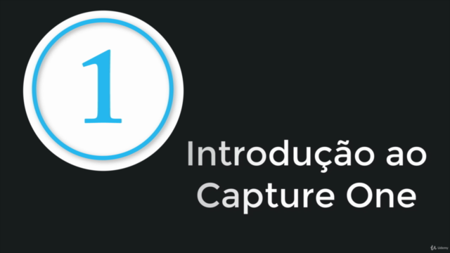 Introdução ao Capture One – Screenshot 4