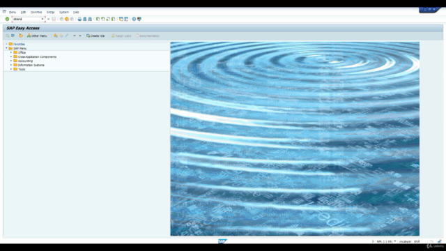 How to install a free local SAP system NW 7.51-ABAP,BASIS,BW – Screenshot 1